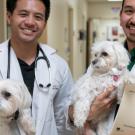 two male vet students holding dogs