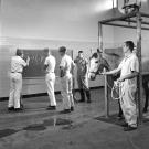 Dr. Wheat and students in the UC Davis Large Animal Clinic in 1966. From the Fiat Lux project by Ansel Adams and Nancy Newhall.