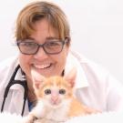 veterinarian with cat