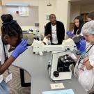 Students in school science lab using microscopes; teacher watches as two wear blue gloves.