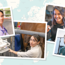 collage of four veterinarians working
