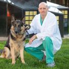 veterinarian in white lab coat and scrubs with a german shepherd
