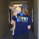 woman walking away from camera holding injured dog over her shoulder