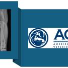 image of hip replacement xray and ACVS logo