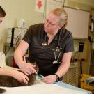 veterinarian and student examining a cat