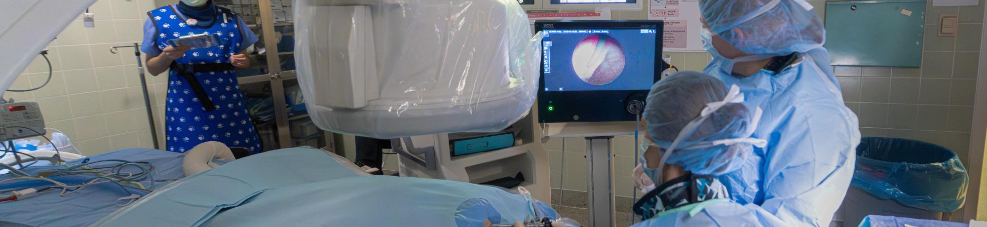 Internal Medicine Service