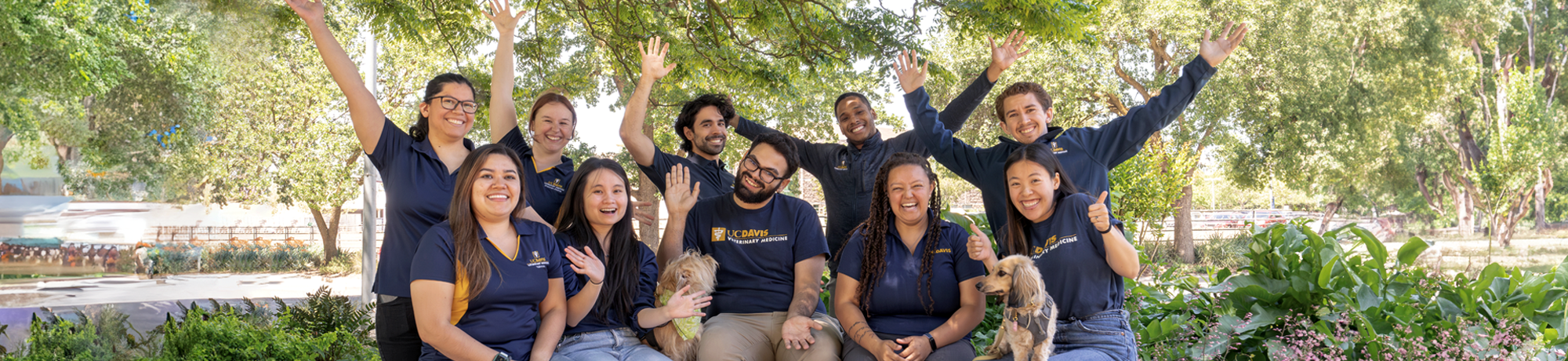 Group of veterinary students with dogs