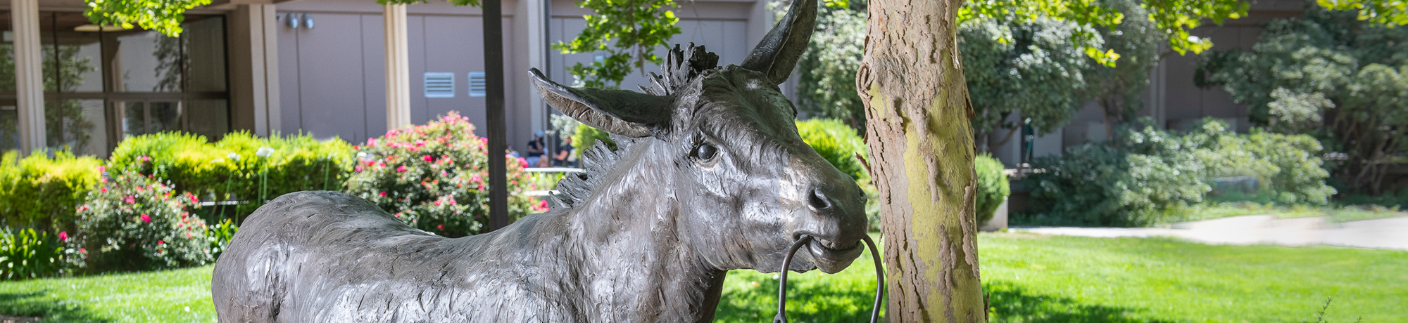 Bronze statue of a donkey holding a stethoscope in its mouth.