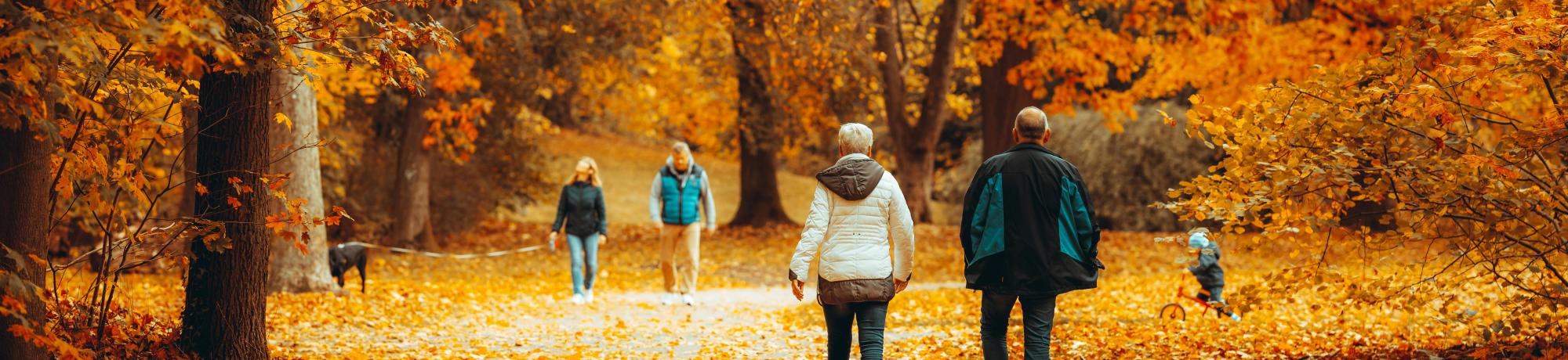 People walking among autumn trees on a path.