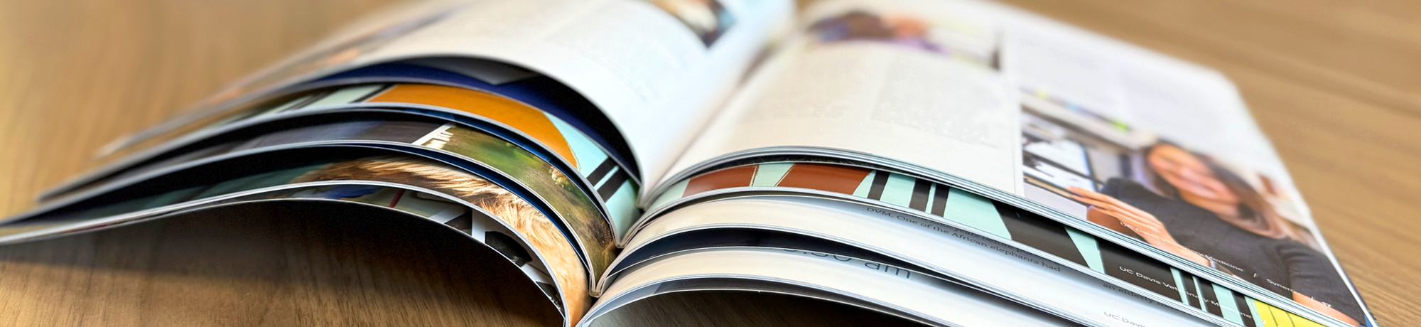Magazine fanned out on a desk.